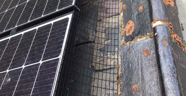 Solar panels protected by solarbirdguard