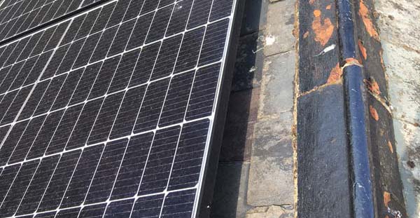 Solar panels protected by solarbirdguard