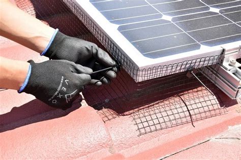 Solarbirdguard technician installing solar panel bird protection